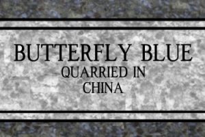 Butterfly Blue