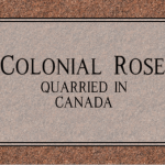 Colonial Rose